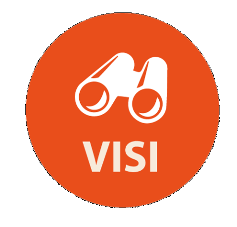 icon visi